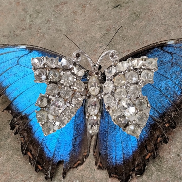 Vintage Rhinestone Butterfly Brooch Silver Tone Metal Finish - Picture 2 of 12